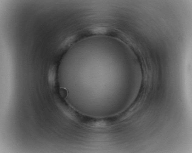 X0000115560600200911061554