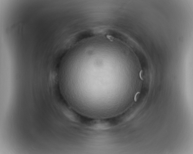 X0000115560601200911061554