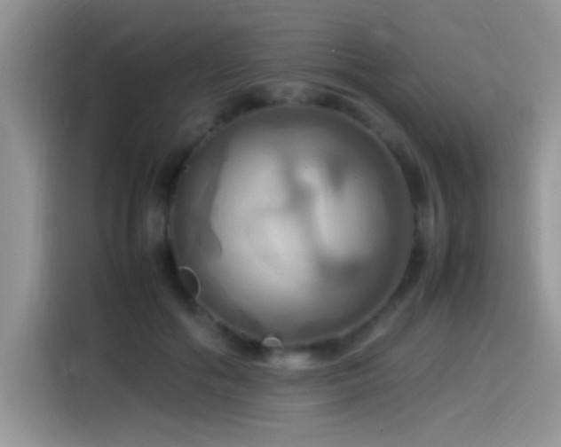 X0000115560602200911061554