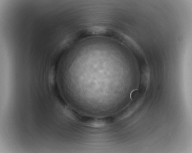 X0000115560604200911061554