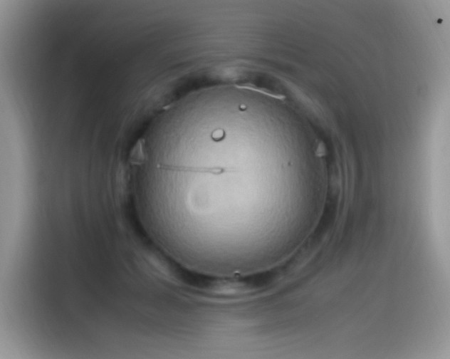 X0000115560605200911061554
