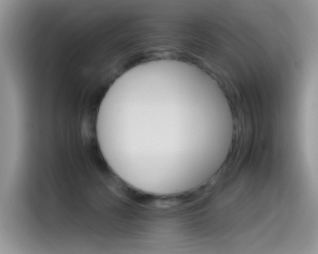 X0000115560606200911061554