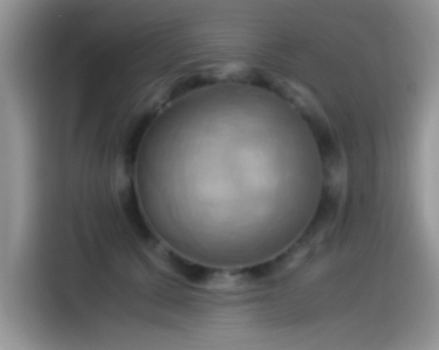 X0000115560607200911061554