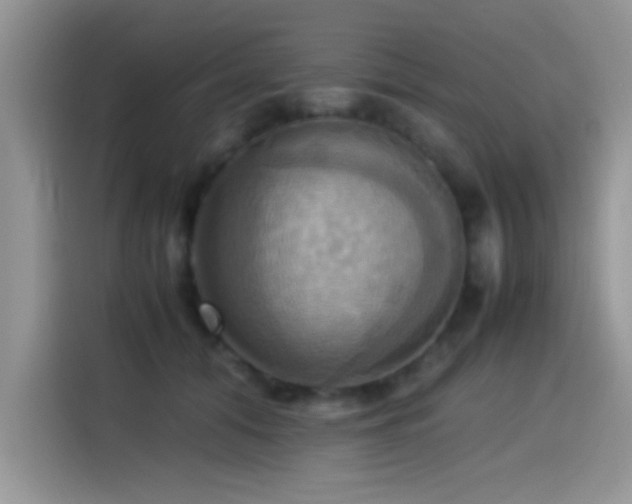 X0000115560608200911061554