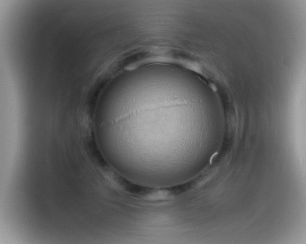X0000115560609200911061554