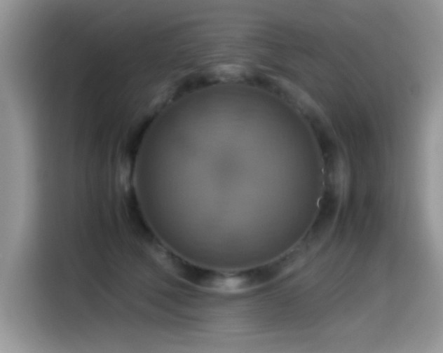 X0000115560610200911061554