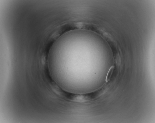 X0000115560611200911061554