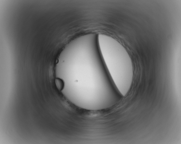 X0000115560612200911061554