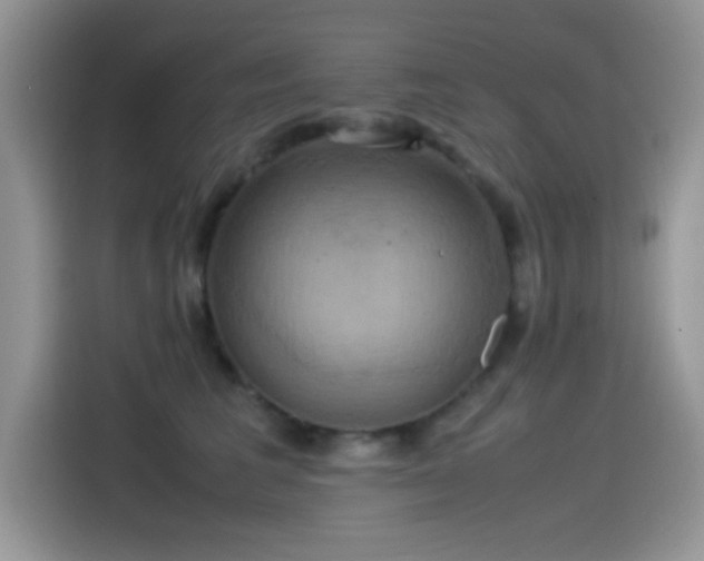 X0000115560613200911061554