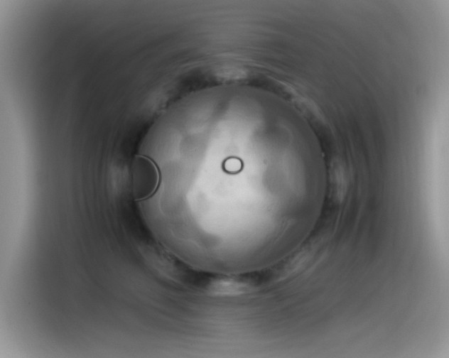 X0000115560614200911061554