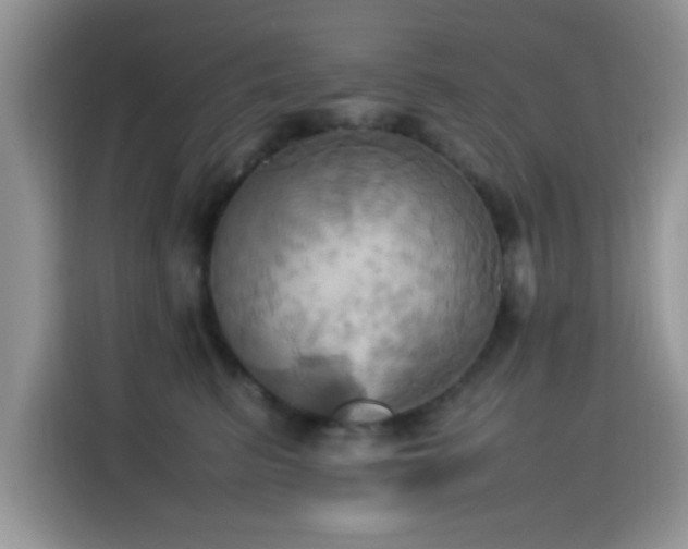 X0000115560615200911061554