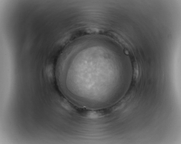 X0000115560616200911061554