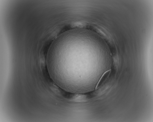 X0000115560617200911061554
