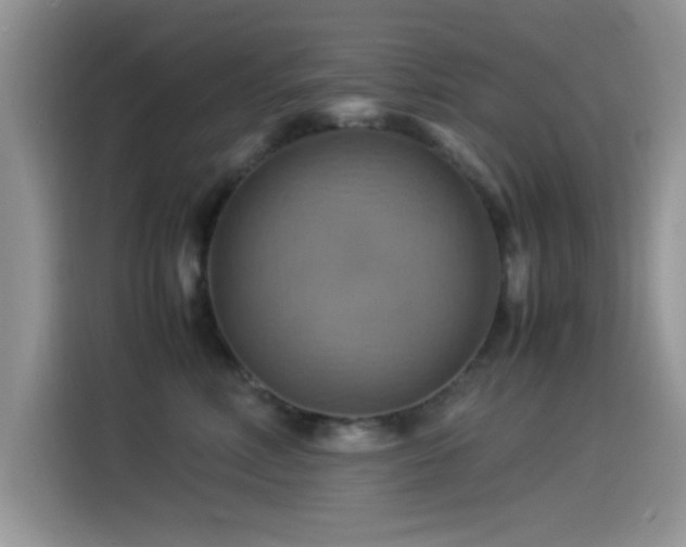 X0000115560618200911061554
