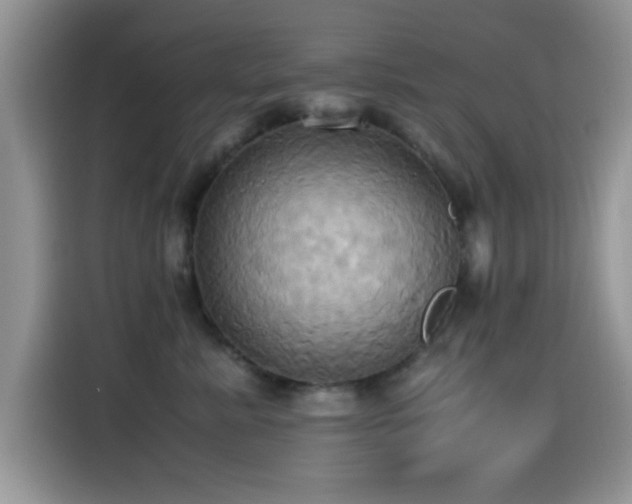 X0000115560619200911061554