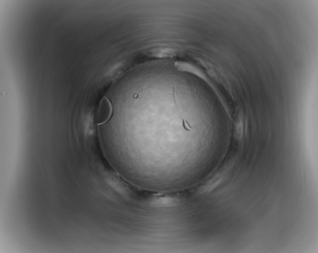 X0000115560620200911061554