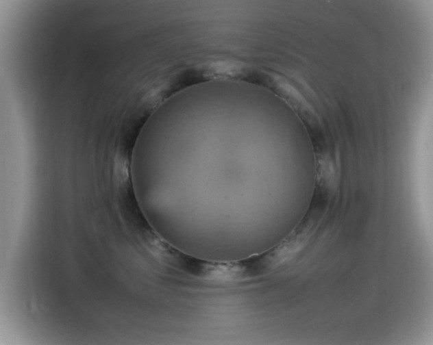 X0000115560621200911061554