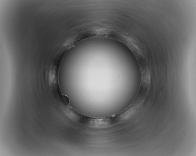 X0000115560622200911061554