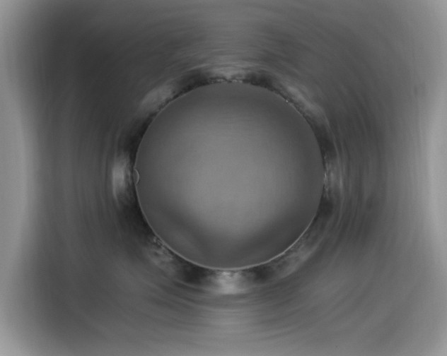 X0000115560623200911061554