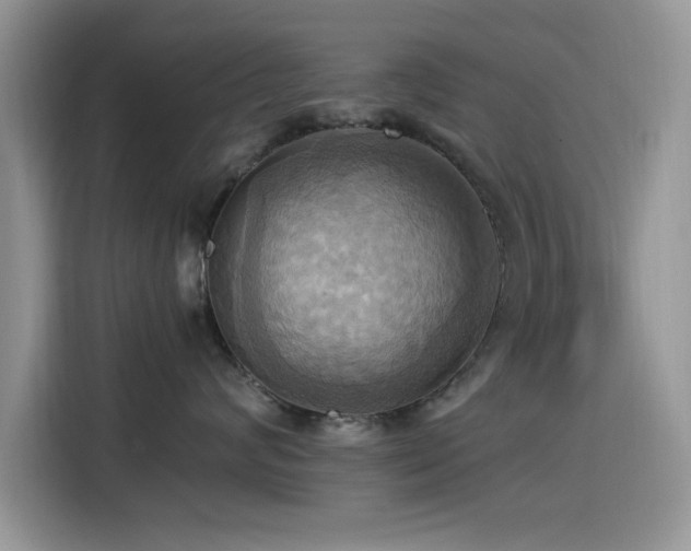 X0000115560624200911061554