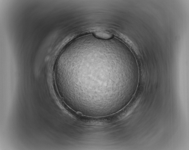 X0000115560625200911061554