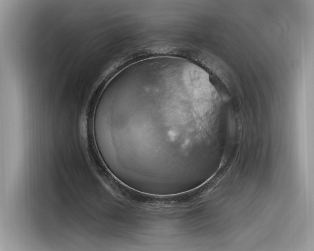 X0000115560626200911061554