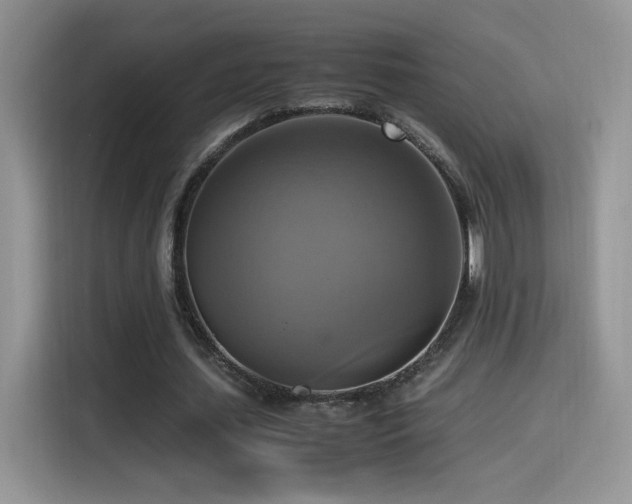 X0000115560627200911061554