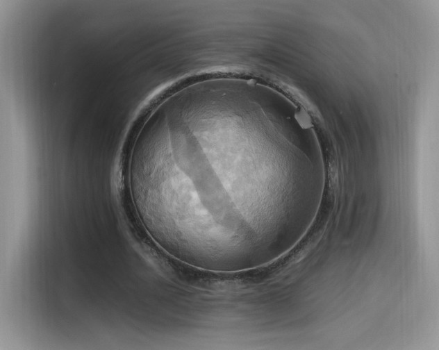 X0000115560628200911061554