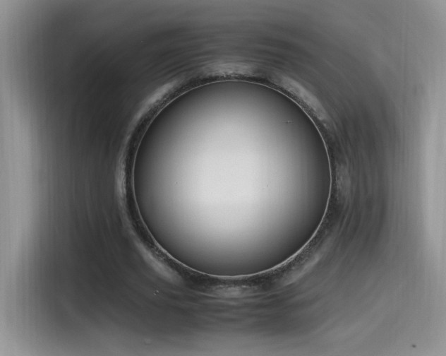 X0000115560629200911061554