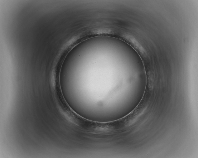 X0000115560631200911061554
