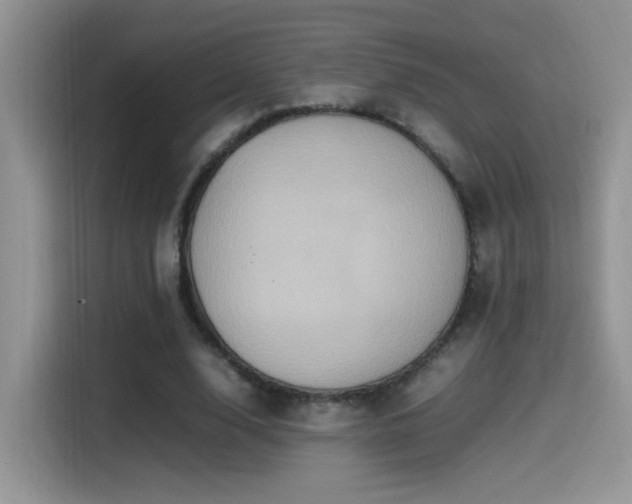 X0000115560632200911061554