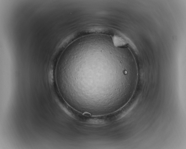 X0000115560633200911061554