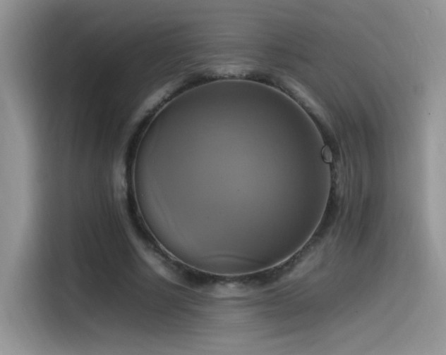 X0000115560634200911061554