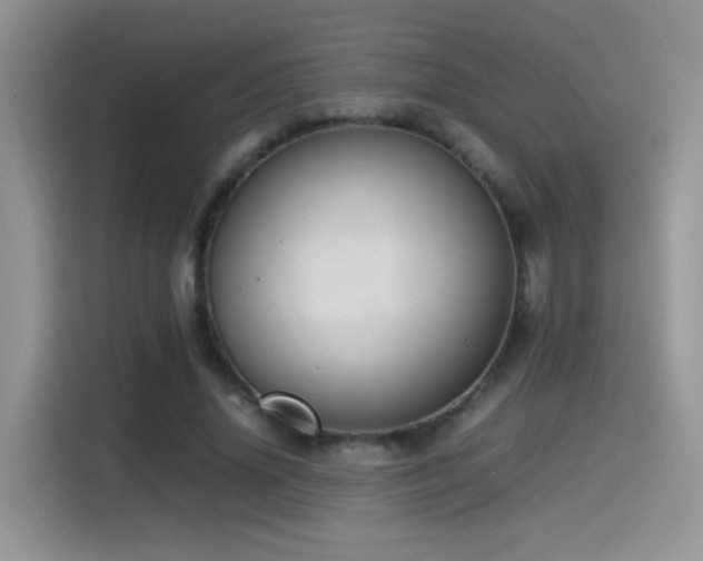X0000115560636200911061554