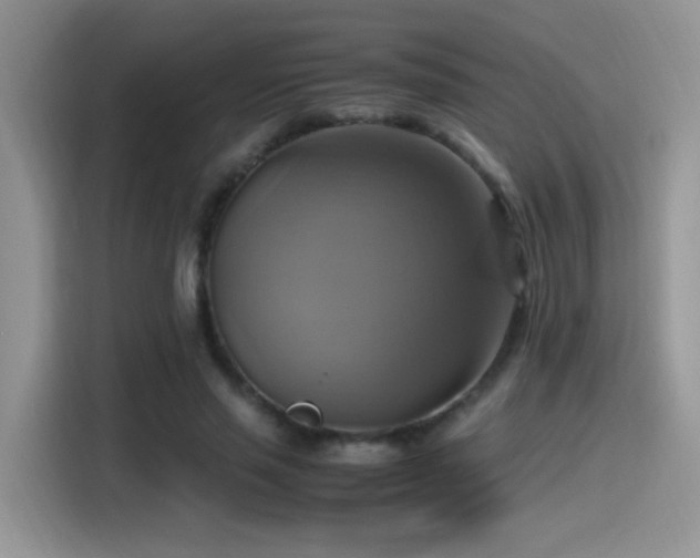 X0000115560637200911061554