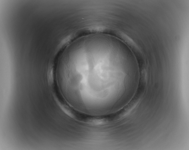X0000115560638200911061554