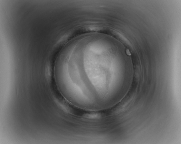 X0000115560639200911061554