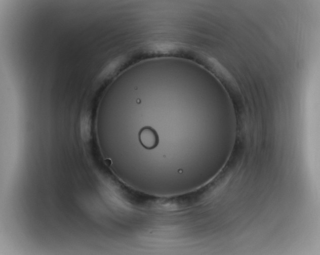 X0000115560640200911061554