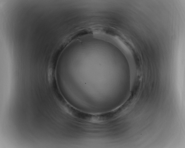 X0000115560641200911061554