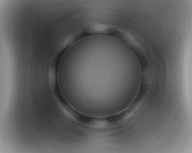 X0000115560642200911061554