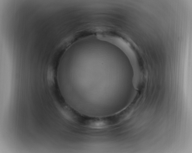 X0000115560643200911061554
