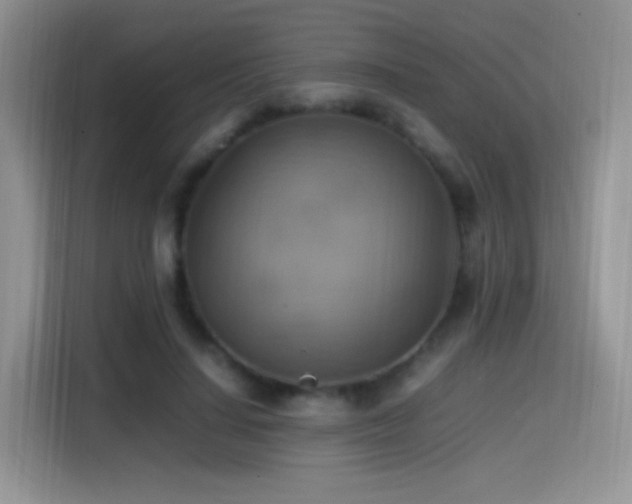 X0000115560644200911061554