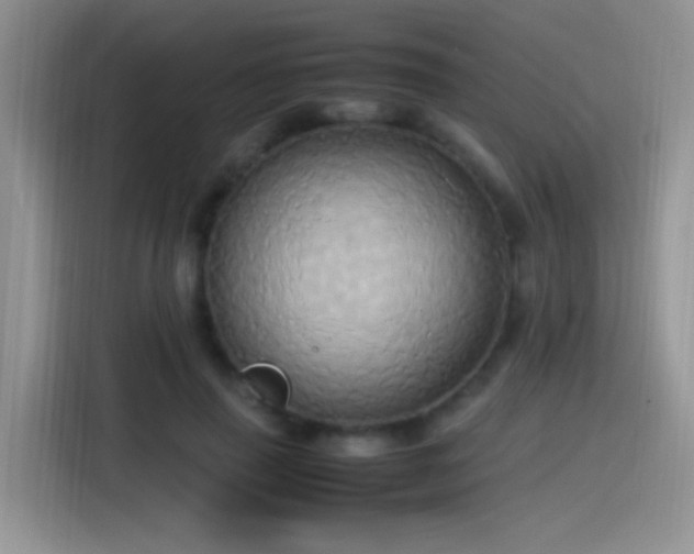 X0000115560645200911061554
