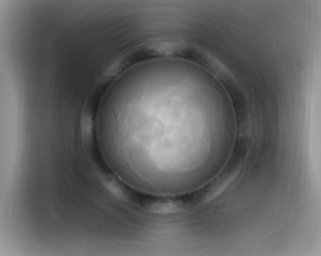 X0000115560646200911061554