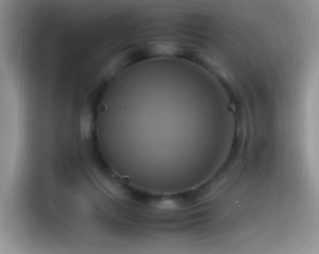 X0000115560647200911061554