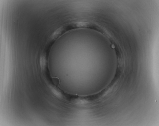 X0000115560648200911061554