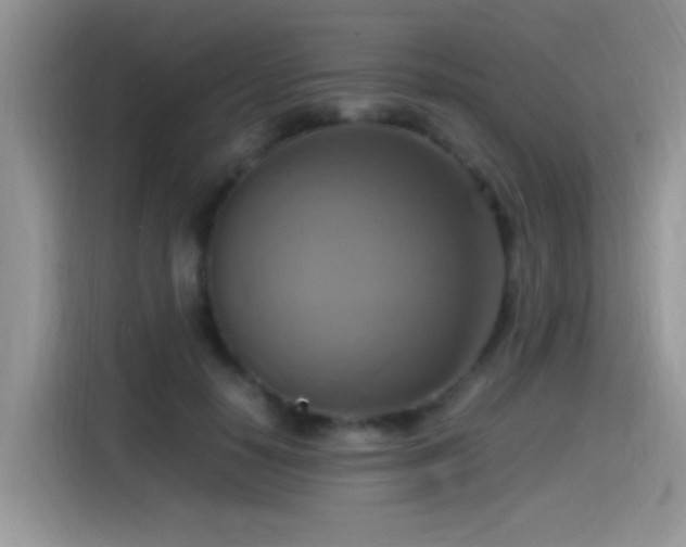 X0000115560650200911061554