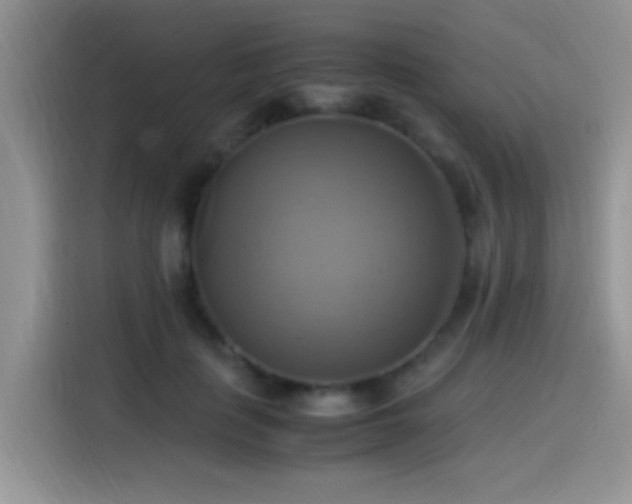 X0000115560651200911061554