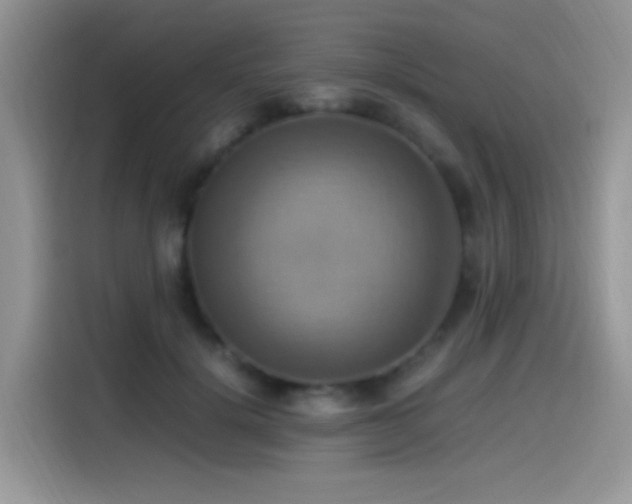 X0000115560652200911061554