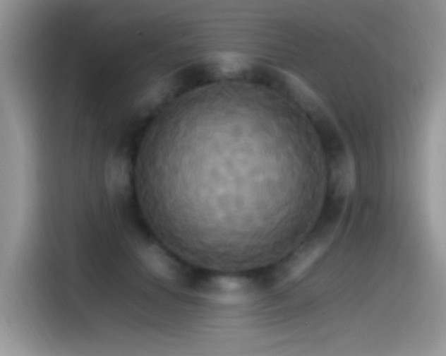 X0000115560654200911061554